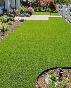 Artificial Turf for Dogs in WA | Astro Turf for Pets