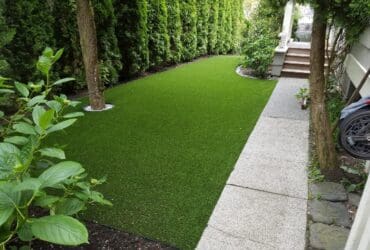 Backyard with synthetic turf and a stone pathway leading to a door on the right.